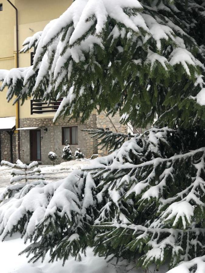 شقة Apartament Nicolle بويانا براسوف المظهر الخارجي الصورة