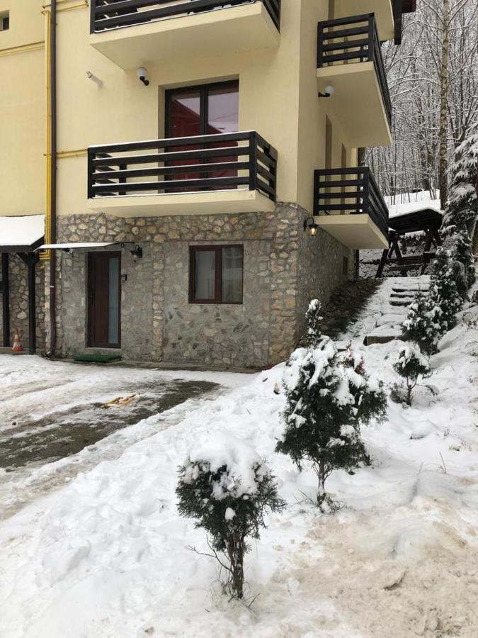 شقة Apartament Nicolle بويانا براسوف المظهر الخارجي الصورة